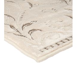 Tapis Salon à Reliefs Motifs Feuillages Ornementales Écru 120x170